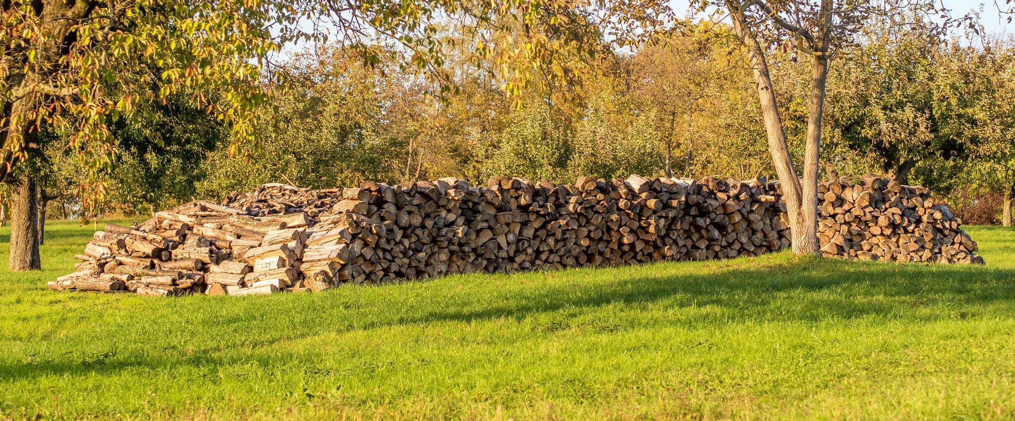 100% Holz aus Österreich